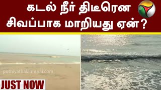 #JUSTNOW | கடல் நீர் திடீரென சிவப்பாக மாறியது ஏன்?  | Puducherry | Rangasamy | Puducherry CM | PTT