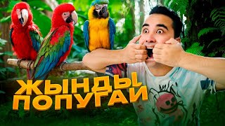 АПКЕШКА И БРАТИШКА / 41-сезон / ЖЫНДЫ ПОПУГАЙ😂