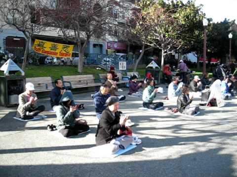 Chinatown San Francisco Park, Falun Gong Flower Festival January 14 ...