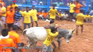 kalamavur jallikattu 2018 - batch - 2/4