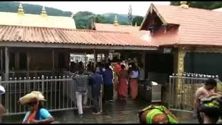 Today Kalabhabhishekam at Sabarimala Sannidhanam