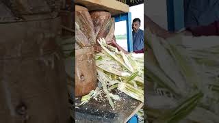 crushing sugarcane #viralvideo #juice