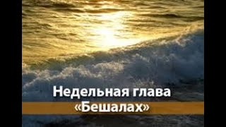 глав Бешалах 5782 - рав Даниэль Булочник