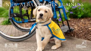 New Albany Gets Business: Canine Companions