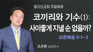 코끼리와 기수(1): '사이좋게 지낼 순 없을까?'ㅣ올리브교회 주일설교 조준환 목사ㅣ2022-06-26