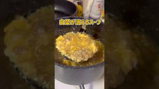 Xでバズってた白菜が消えるスープを作ってみた #料理 #簡単レシピ #cooking #スープ #shorts