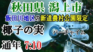 秋田県 潟上市 (有線放送) 飯田川地区（新道農村公園）7：10 椰子の実（バーチャイム）