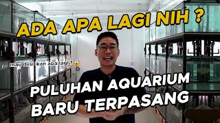 😱😱😱 TAMBAH TANK PULUHAN LAGI DI RUMAH MAYIN?? ISI IKAN APA NIH??