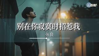 张良 - 别在你寂寞时招惹我 (烟嗓男版)「我会错把谎言当真的」【🎧AI高质音乐/拼音歌词 Eng Lyrics】