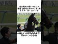 キタサンブラックエピソード 競馬 競馬予想 ウマ娘 shorts