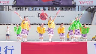 [4K] 青ノ春　高知よさこい祭り 2018 本祭1日目 (中央)