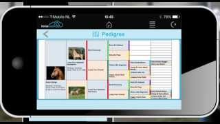 Horsecount App - Pedigree mobile