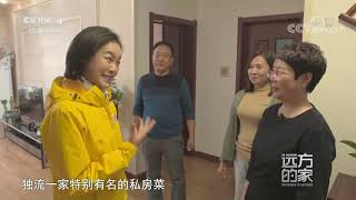 [远方的家]大运河（58） 南运河上的十一堡闸| CCTV中文国际