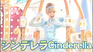 ºoº[シンデレラ] TDL 35周年グランドフィナーレ ドリーミング・アップ！スペシャル停止バージョン Dreaming Up! special ver Cinderella