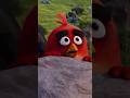 if i voiced everyone in the angry birds movie #2