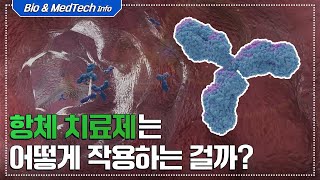 [셀트리온 C-FILES] 항체 치료제는 어떻게 작용하는 걸까?