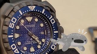 鯨鯊救「星」！星辰光動能鈦金屬「鲸鯊」限量版潛手錶！/ 安錶行 Citizen Promaster Eco-Drive Diver 200m Limited Model