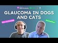 Glaucoma In Dogs And Cats: How Should We Manage It? - Ron Ofri | VETchat | Veterinary Podcast