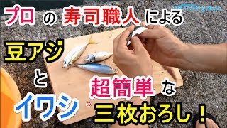 【アジの三枚（大名）おろし＆イワシの手開き】寿司職人Go氏による3分クッキング♪ 鯵＆鰯の捌き方（せんと会 釣りクラブ）