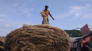 10/09/2022,পাটের পাইকারি বাজার দর এবং এবং পাটের স্টক এর ব্যাপারে জানুন,কৃষি care 365.