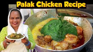 Palak Chicken Recipe | Palak Chicken Gravy | How To Make Palak Chicken | Street Food Zaika