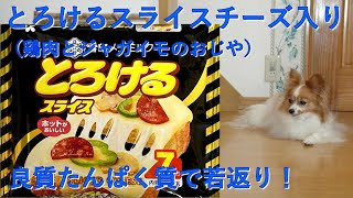 【17歳老犬の手作りごはん】とろけるスライスチーズ入り（鶏肉とジャガイモのおじや）