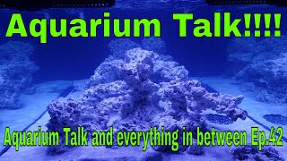 Aquarium Talk