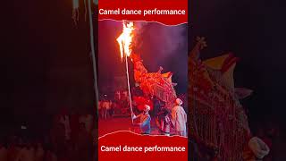 camel dance performance ll#cameldance