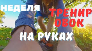 Вот что вышло! Неделя тренировок на гимнастических ремнях стойки на руках!