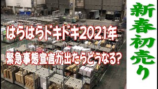 花の仕入れ【初売りセール】　1月は20日ぐらいまで暇なのよん(〃ω〃)    「お花屋」 と言うか 「仲卸」です。  花を必要とするすべての方どうぞお越しください。