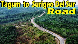 Tagum to Surigao Del Sur Roadtrip via Monkayo/Trento | TravelLar