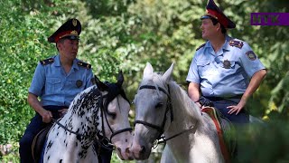 Патруль - Конная полиция