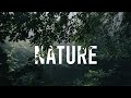 Get lost in nature.