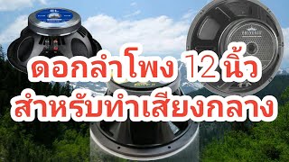 เครื่องเสียงบ้านๆ Ep.74 ดอกลำโพง 12 นิ้ว สำหรับทำเสียงกลาง