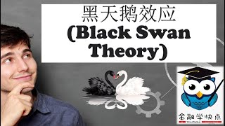 黑天鹅效应 (Black Swan Theory)