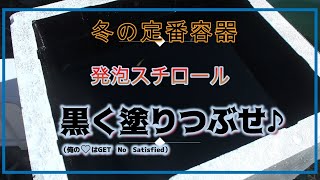 【メダカ】冬は発泡スチロール黒い色が欲しい方は是非見てくださいね♪