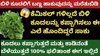 👉 ಯಾವ ಹೇರ್ ಕಲರ್ ಹೇರ್ ಡೈ ಬೇಡ 1 ಬಾರಿ ಇದನ್ನು ಕೂದಲಿಗೆ ಹಚ್ಚಿ ಕೂದಲು ಕಪ್ಪಾಗುತ್ತದೆ ಯಾವುದೇ ಕೆಮಿಕಲ್ ಗಳಿಲ್ಲದೆ😱