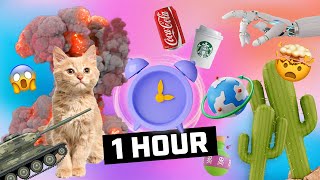 1 Hour Things You Didn't Know 🧠