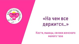 ГИНЕКОЛОГИЯ Анатомия таза и промежности | Кости, связки, мышцы - К ЭКЗАМЕНУ