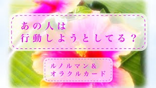 💓恋愛💓あの人は行動しますか？お相手さんの現状とお気持ち💫ルノルマン＆オラクルカード🌟恋愛占いリーディング🌟