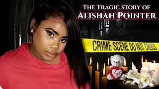 The Evidence in the Basement. The Alishah Pointer case