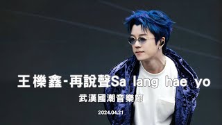 王櫟鑫-再說聲Sa lang hae yo｜武漢國潮音樂節｜2024.04.21