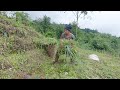 my village life in Nepal || Bhumi village vlogs || cutting grass for cows in the village  || Village