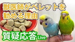 獣医師がペレットを勧める理由【質疑応答ライブ】