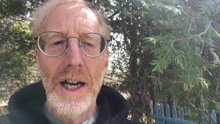 Cape Cod Chronicle Video Preview April 13, 2023