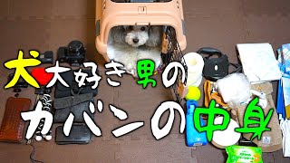 🐶ドッグラン（カフェ）に行くときのかばんの中身はこんな感じです。【トイプードルのグリィ】【犬】【dog】【toy poodle】