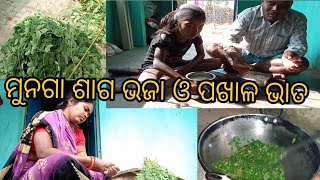 ମୁନଗା ଶାଗ ଭଜା ଓ ପଖାଳ ଭାତ//Dushila sambalpuri Vlogs//#sambalpuri