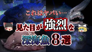 【ゆっくり解説】見た目が衝撃的！ものすごい顔を持つ深海魚８選