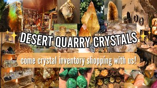 CRYSTAL INVENTORY SHOPPING // come startup my new business with me!!! 🌵✨