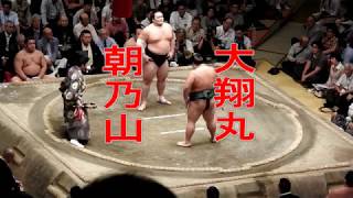 朝の山、大翔丸 #sumo